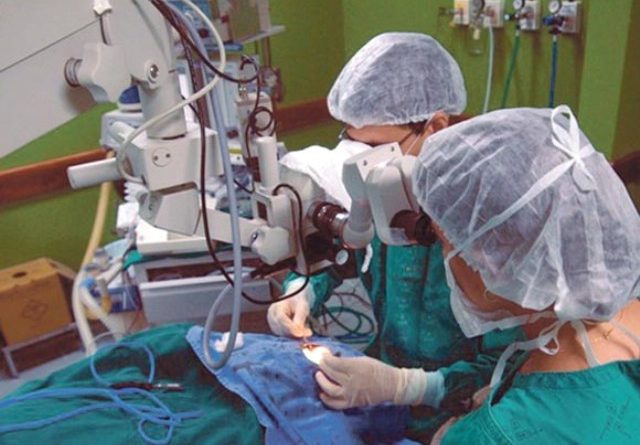 El primer trasplante de retina en humanos con células de donante se hizo en Japón