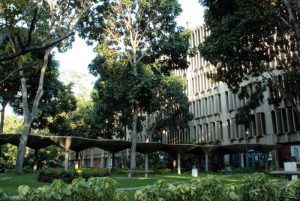 Es importante incentivar a los estudiantes para que permanezcan en Venezuela y cuenten con una mejor formación académica