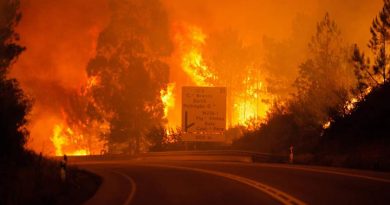 Más de 60 personas han muerto en un incendio forestal de Portugal