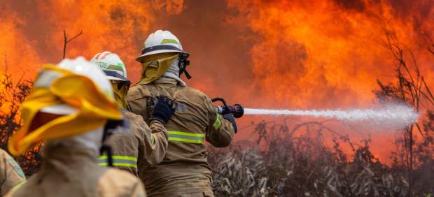 Más de 60 personas han muerto en un incendio forestal de Portugal