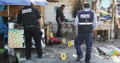 En 24 horas, crimen organizado mata a once personas en Veracruz