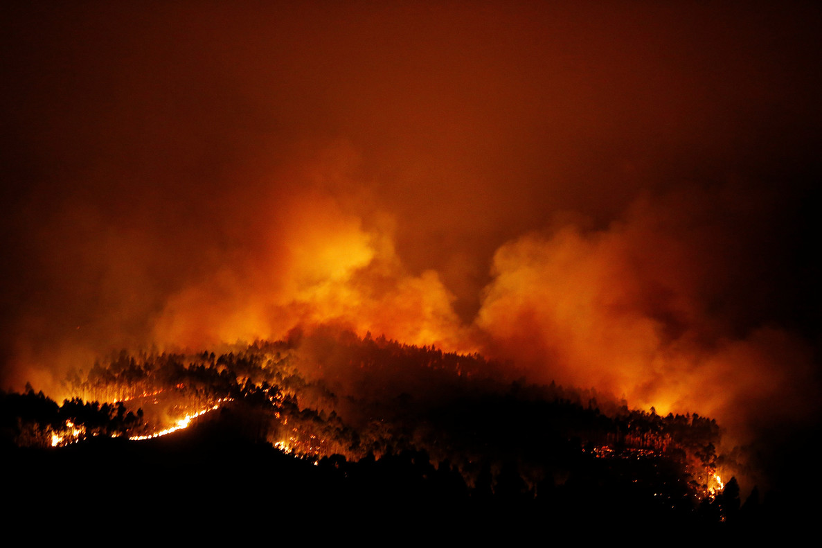 más de sesenta personas han muerto en el incendio forestal