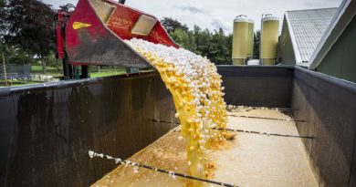 Trece países europeos han recibidos huevos contaminados con fipronil