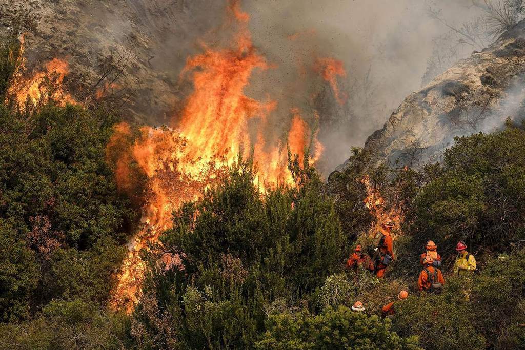 El fuego se ha extendido por las montañas Verdugo, una zona natural a unos treinta kilómetros del centro de Los Ángeles; justo detrás del icónico aviso Hollywood.