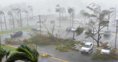 La furia de María causó destrozos en Puerto Rico