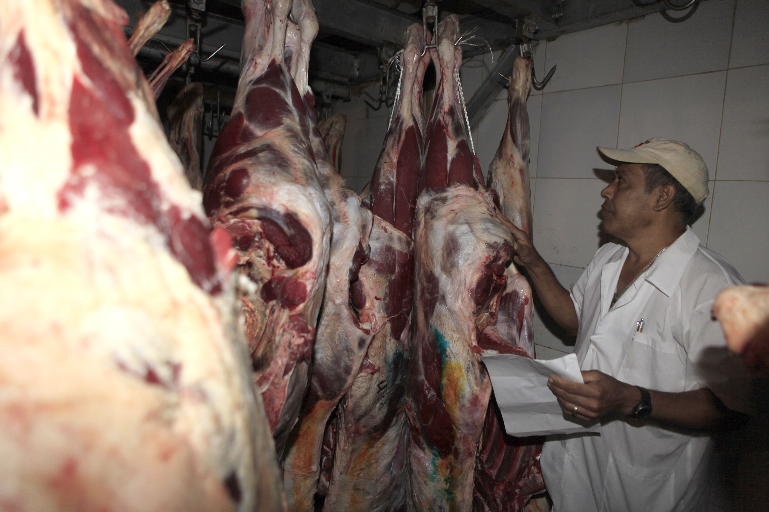 El kilo de la carne fue fijado en 41 mil bolívares