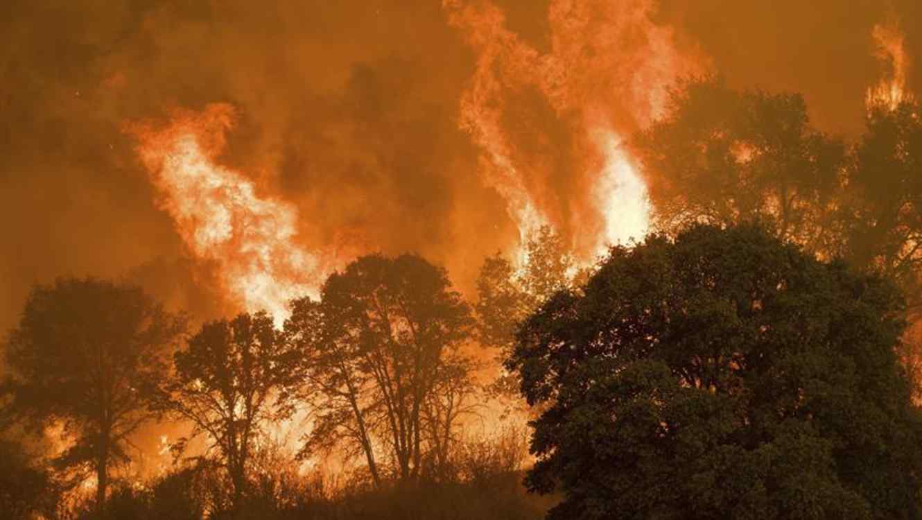 El fuego obligó a cerrar dos colegios y a evacuar a pacientes de dos hospitales en Sonoma