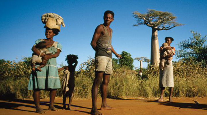 Madagascar azotada por la peste negra