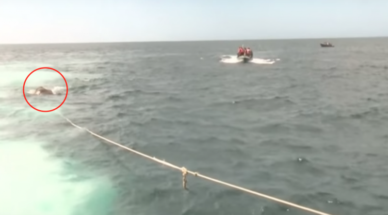 Tras cinco meses a la deriva en mar abierto, rescatan a dos mujeres y sus perros