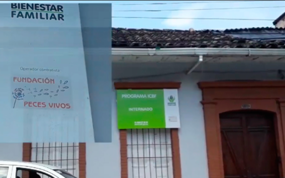 permanecer amarrado en una cama, sentir el dolor de la penetración de una aguja cuando entra en las venas para mantenerlos eternamente drogados