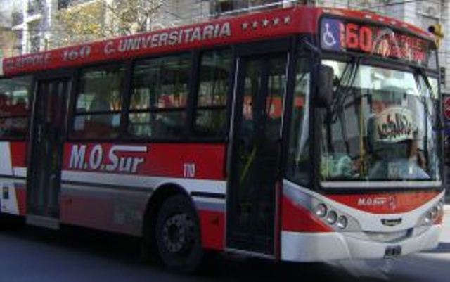 el anciano, bajo la bragueta de su pantalón, sacó su pene y lo apoyó en uno de los brazos de otra pasajera que iba sentada dentro del colectivo