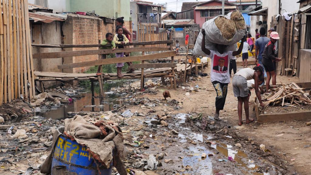 Mortal brote de peste, mantiene a diez países africanos, en alerta máxima