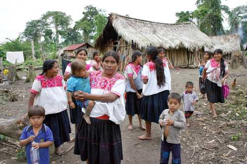 Grupos armados origina desplazamientos de indígenas en el sur de México