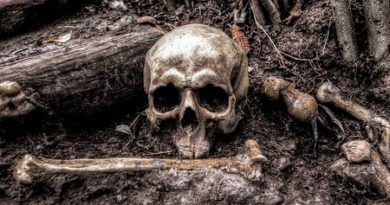 33 cuerpos han sido encontrados en tres fosas clandestinas en el estado mexicano de Nayarit