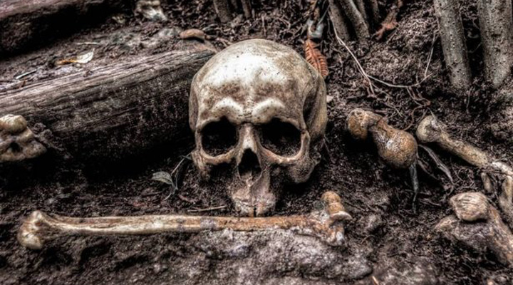 33 cuerpos han sido encontrados en tres fosas clandestinas en el estado mexicano de Nayarit