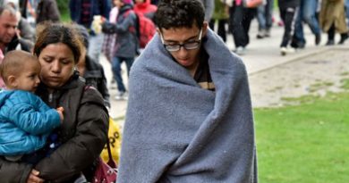 Existe una relación entre refugiados y delincuencia en Alemania