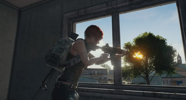 3 avisos para sobrevivir en Miramar